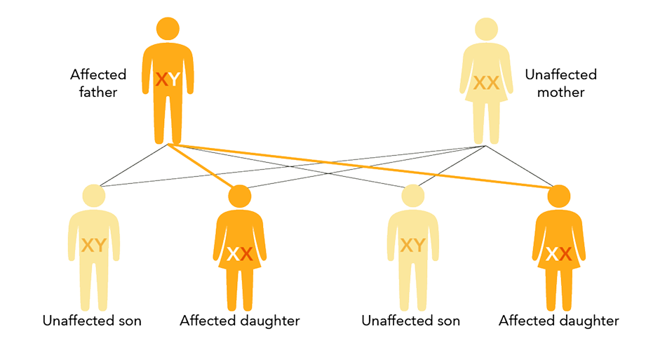 An image X-linked disease inherited from the father